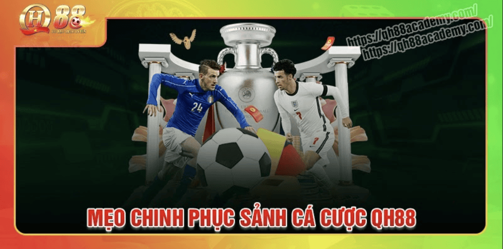 Mẹo giúp người chơi cá cược hiệu quả tại qh88 Mẹo giúp người chơi cá cược hiệu quả tại qh88