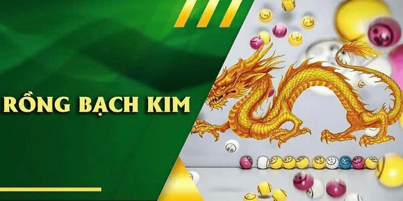 Rồng Bạch Kim Tại 8KBET: Công Cụ Soi Cầu Giúp Chiến Thắng
