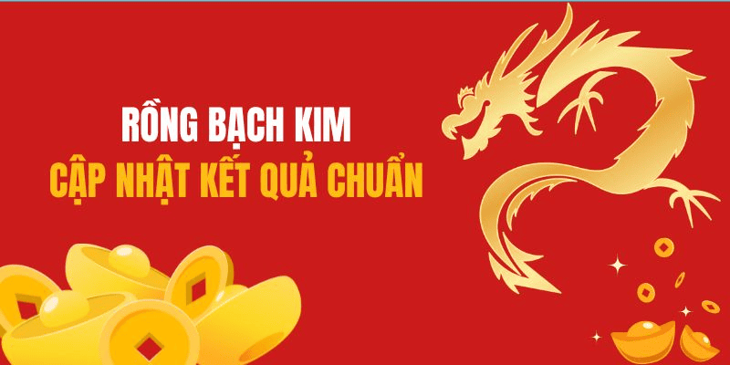 Tại sao nên chọn 8KBET khi sử dụng Rồng Bạch Kim? Tại sao nên chọn 8KBET khi sử dụng Rồng Bạch Kim?