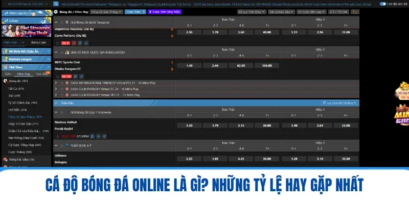 Cá Độ Bóng Đá Online Là Gì? Những Tỷ lệ Hay Gặp Nhất