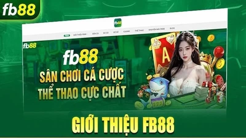 Những điểm nổi bật khi tham gia cá cược tại nhà cái