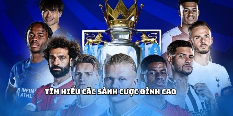 Tìm hiểu các sảnh cược đỉnh cao Tìm hiểu các sảnh cược đỉnh cao