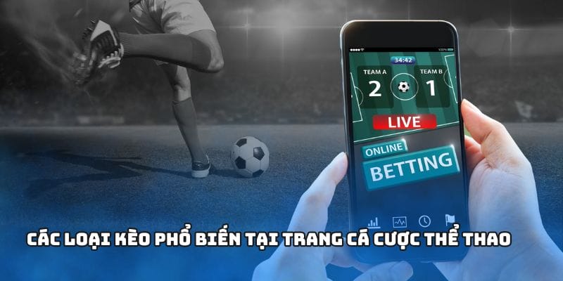 Các loại kèo phổ biến tại trang cá cược thể thao