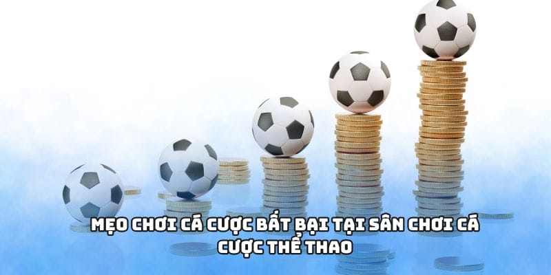 Mẹo chơi cá cược bất bại tại sân chơi cá cược thể thao