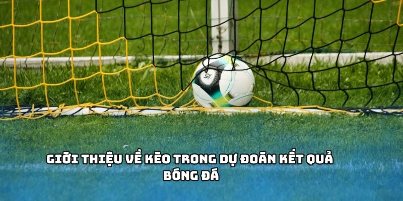 Kèo bóng đá - Đa Dạng Sảnh Cược Và Hướng Dẫn Tham Gia