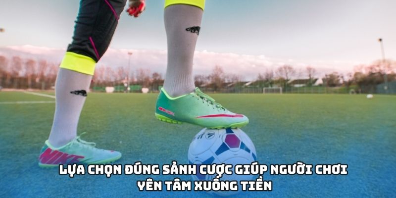 Lựa chọn đúng sảnh cược giúp người chơi yên tâm xuống tiền Lựa chọn đúng sảnh cược giúp người chơi yên tâm xuống tiền