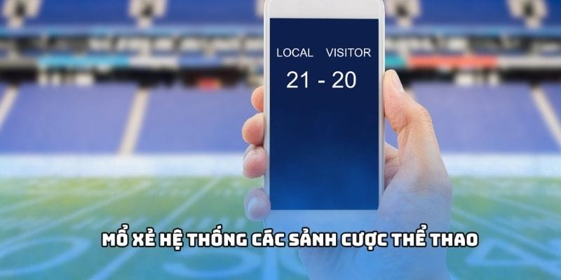 Mổ xẻ hệ thống các sảnh cược thể thao