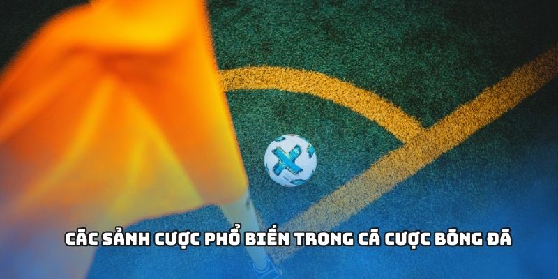 Các sảnh cược phổ biến trong cá cược bóng đá Các sảnh cược phổ biến trong cá cược bóng đá