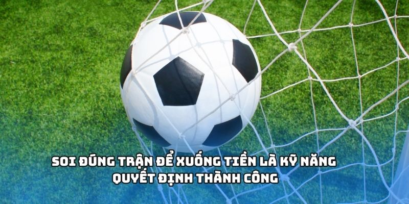 Soi đúng trận để xuống tiền là kỹ năng quyết định thành công Soi đúng trận để xuống tiền là kỹ năng quyết định thành công