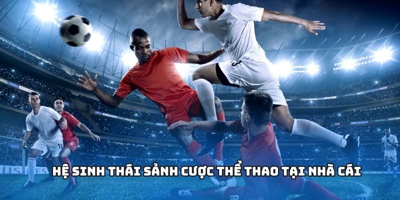 Hệ sinh thái sảnh cược thể thao tại nhà cái
