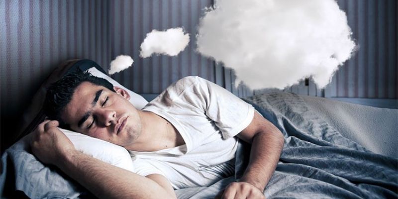Mơ Thấy Thú Cưng: Giải Mã Giấc Mơ Và Ý Nghĩa Đằng Sau