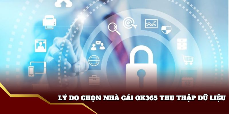 Nguyên do nhà cái Ok365 thu thập thông tin Nguyên do nhà cái Ok365 thu thập thông tin