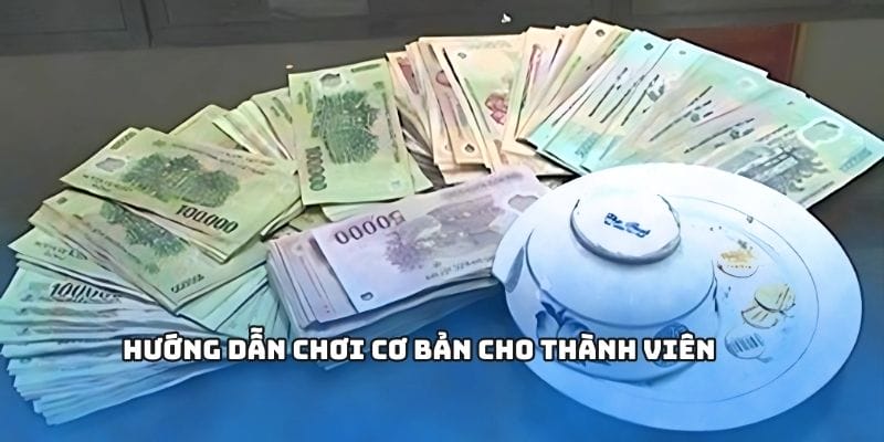 Quy trình đặt cược chi tiết từng bước