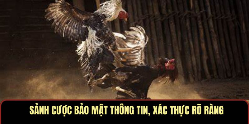 Sảnh cược bảo mật thông tin, xác thực rõ ràng Sảnh cược bảo mật thông tin, xác thực rõ ràng