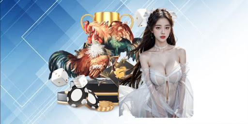 Lợi Ích Sau Khi Đăng Ký SV388