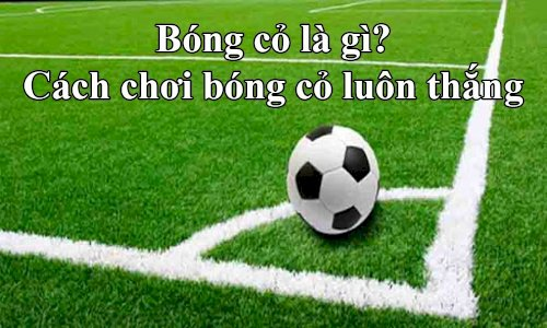 Bóng cỏ là gì?