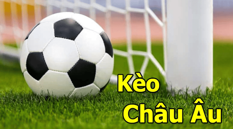 Chiến Lược Đặt Cược Hiệu Quả