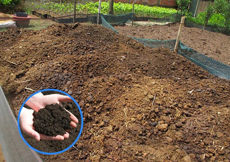 Mơ thấy phân trâu và những con số có thể đem lại vận may