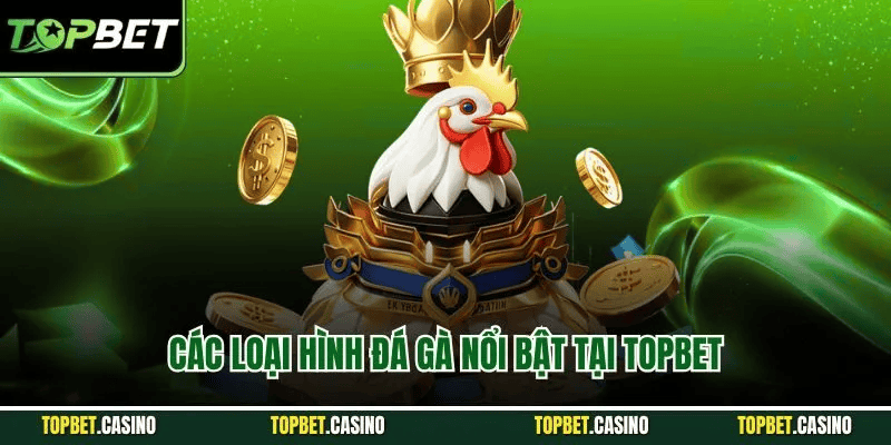 Xổ số trực tuyến Đá gà topbet