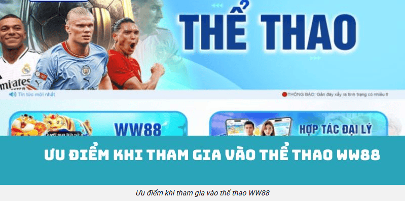 Bảng kèo minh bạch: trình bày sáng rõ để chốt nhanh mà không vấp