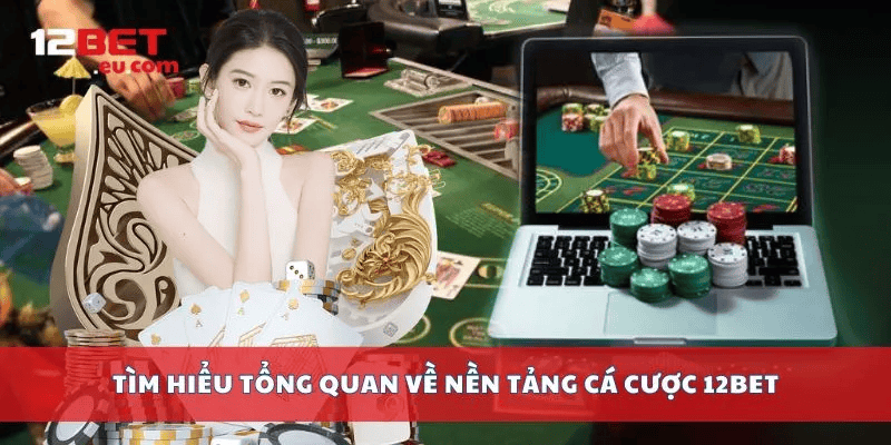 Toàn diện trải nghiệm tại 12bet