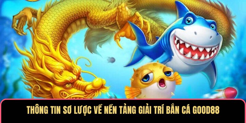Bắn Cá bty9222 – Sân Chơi Đổi Thưởng Tốc Độ, Uy Tín