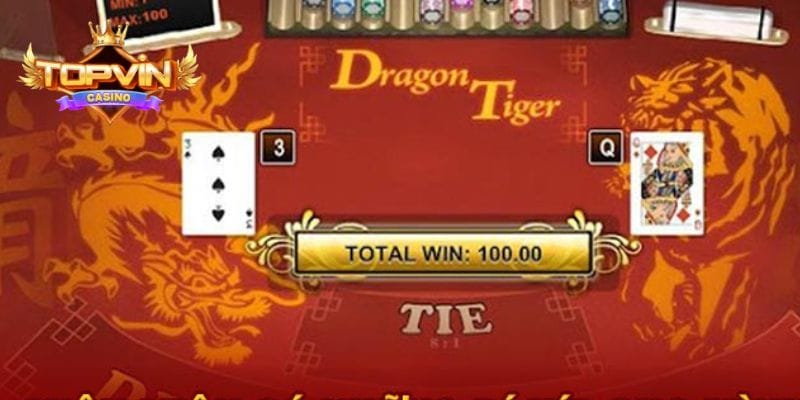 Topvin xử lý phản hồi người chơi ra sao?