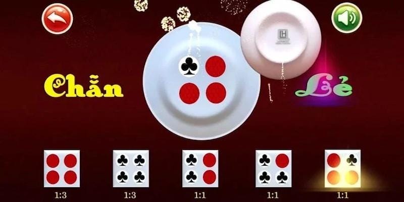Các thành phần và công cụ trong trò chơi xóc đĩa