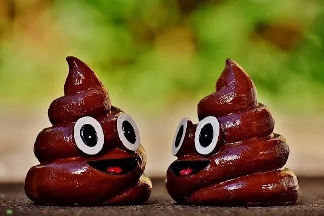 Chiêm bao thấy phân bò và các tình huống cụ thể