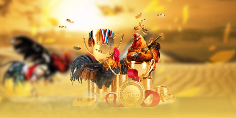 Hành trình phát triển của GA888 uy tín Hành trình phát triển của GA888 uy tín
