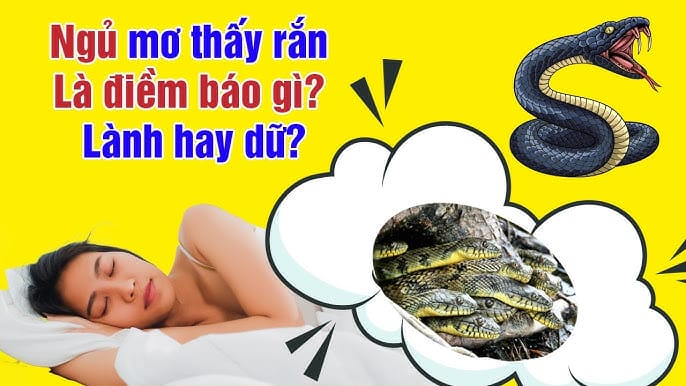 Kinh nghiệm luận giải giấc mơ thấy rắn từ các chuyên gia