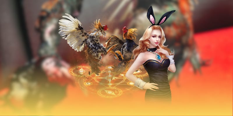 Dịch vụ DG live casino đem đến nhiều sự tiện lợi cho người chơi Dịch vụ DG live casino đem đến nhiều sự tiện lợi cho người chơi