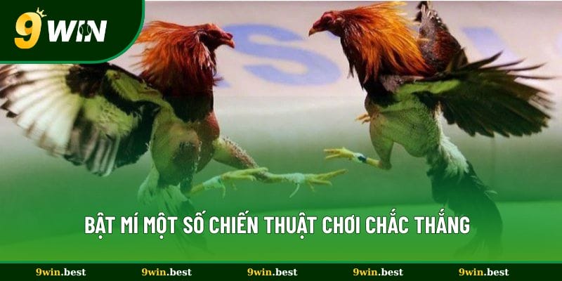 Bật mí một số chiến thuật chơi chắc thắng