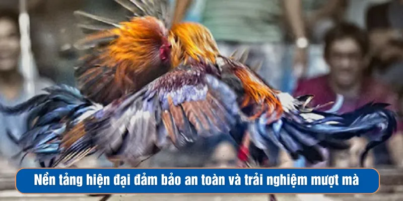 Nền tảng hiện đại đảm bảo an toàn và trải nghiệm mượt mà Nền tảng hiện đại đảm bảo an toàn và trải nghiệm mượt mà