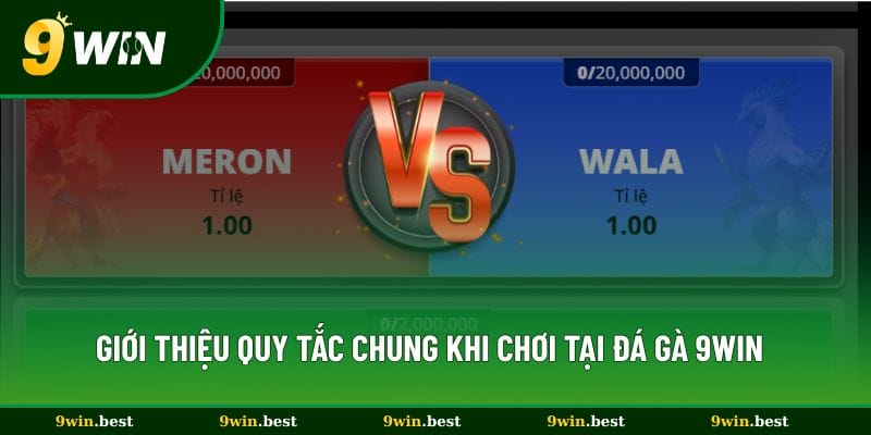 Giới thiệu quy tắc chung khi chơi tại đá gà 9win