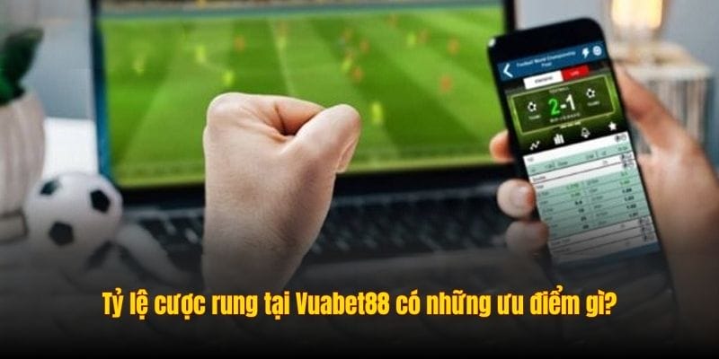 Cách đọc và tính kết quả trong kèo rung chuẩn nhất