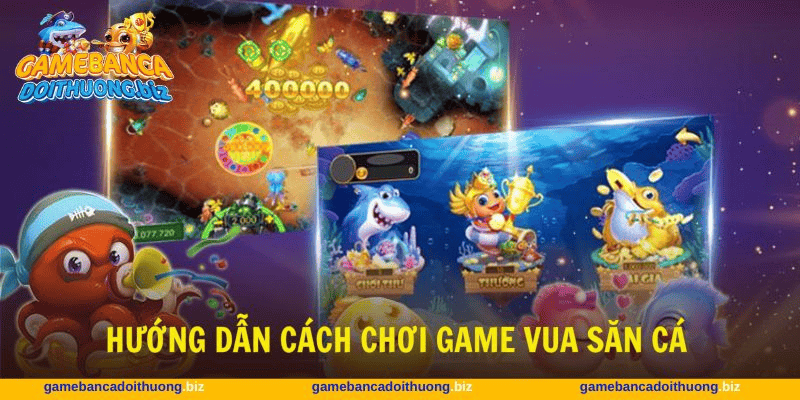 Cách chơi Vua Săn Cá trong bắn cá đổi thưởng Cách chơi Vua Săn Cá trong bắn cá đổi thưởng