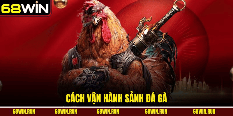 Đá gà 68Win: Sàn đấu đỉnh cao cho tín đồ chiến kê
