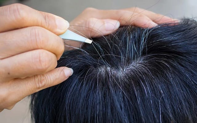 Điềm báo của giấc mơ thấy tóc bạc là gì?