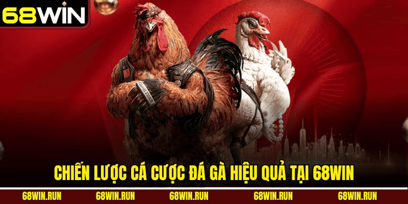 Kèo cược Đá gà 68Win – Linh hoạt, minh bạch, dễ thắng