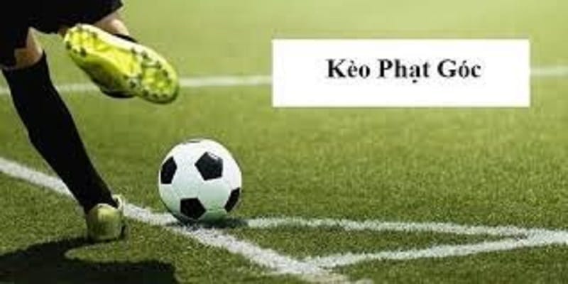 Một số tỷ lệ kèo phạt góc quen thuộc tại nhà cái Bk8