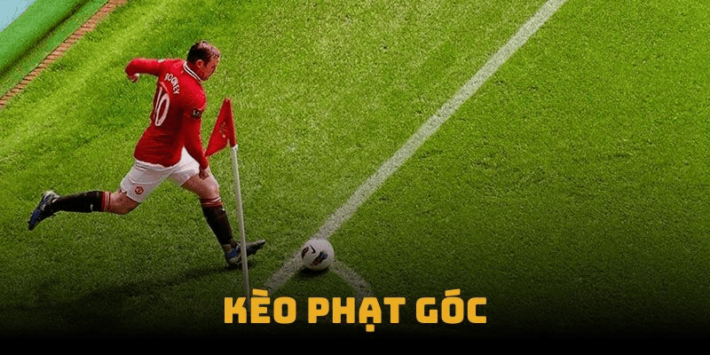 Mẹo cược kèo phạt góc cho người chơi mới Mẹo cược kèo phạt góc cho người chơi mới