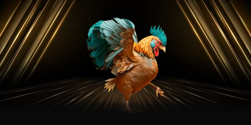 Phân tích kèo chuẩn xác
