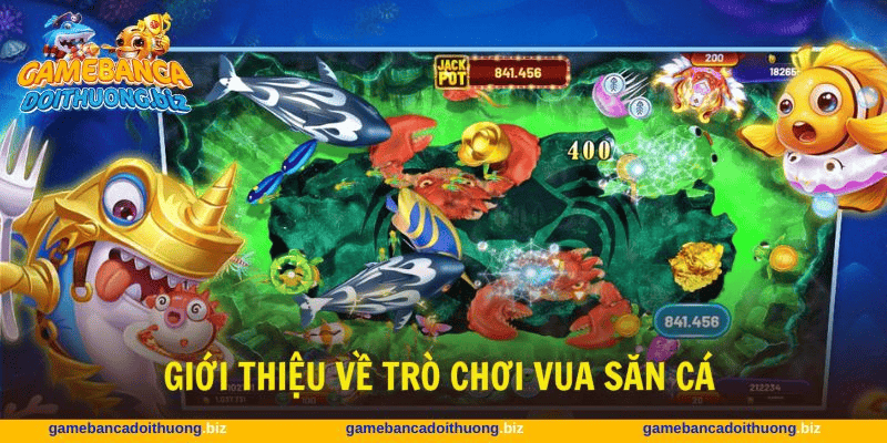 Tìm hiểu Vua Săn Cá tại game bắn cá đổi thưởng – Nơi cao thủ thể hiện đẳng cấp thật