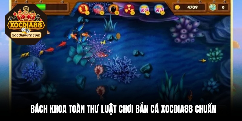 Bách khoa toàn thư luật chơi bắn cá XocDia88 chuẩn