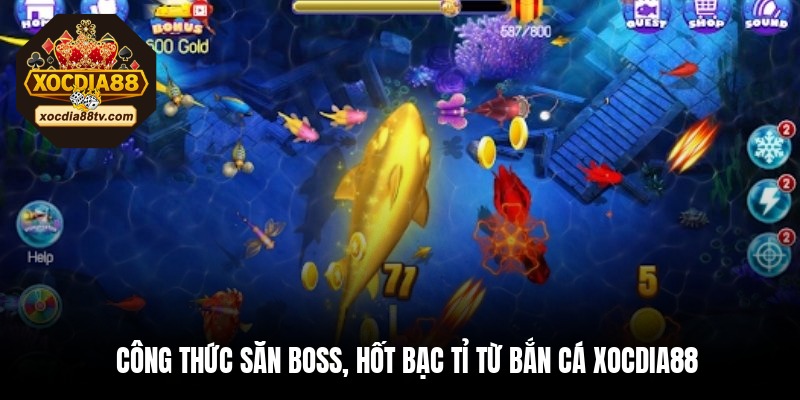 Công thức săn boss, hốt bạc tỉ từ bắn cá XocDia88