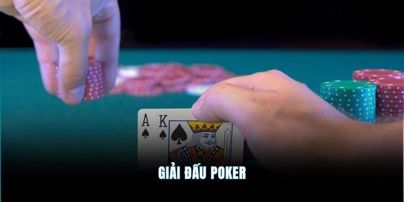 Giải Đấu Poker Việt Nam Mới Nhất Cập Nhật Tại Mibet