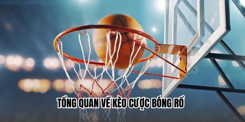 Khái quát thêm nữa về hình thức dự đoán bóng rổ