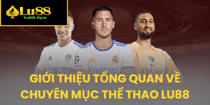 Khám phá thông tin cơ bản về danh mục thể thao hấp dẫn