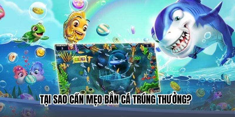 Lý do cần có kinh nghiệm săn sinh vật nhận quà